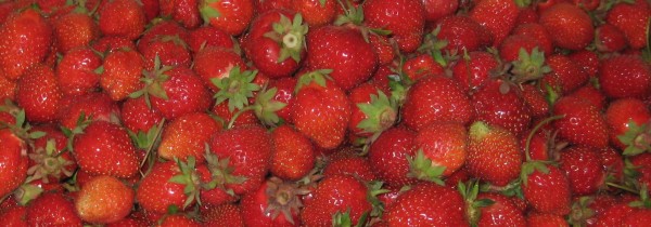 Fresh Strawberries