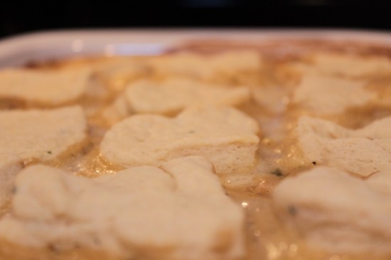 chicken stew with biscuits