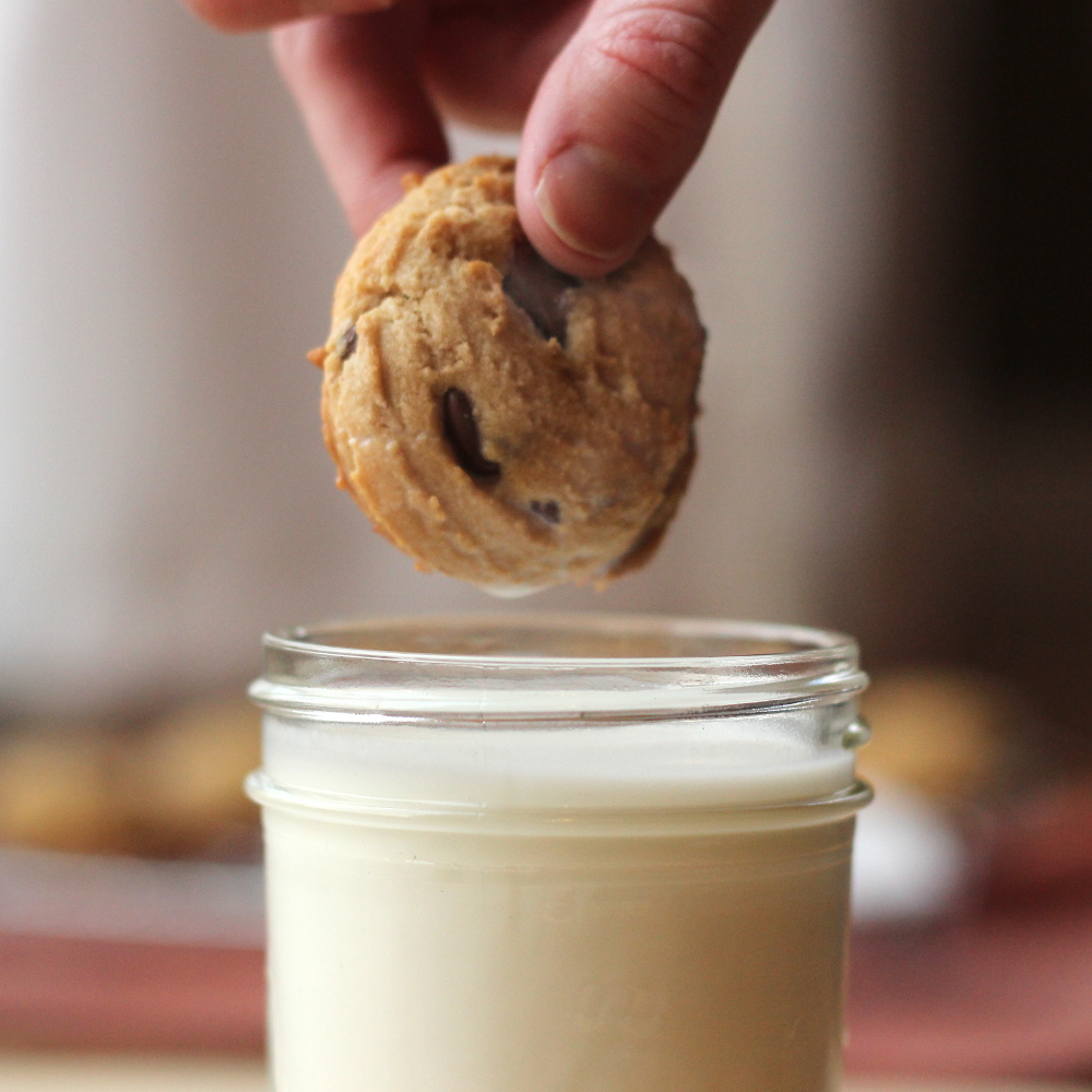 Peanut Butter Chocolate Chip Cookie